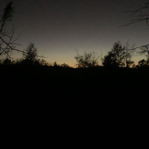 Meet your Posher, Carson